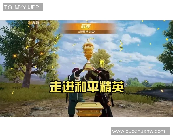 深度对话：探索陈丽在和平精英中的成长与挑战之路